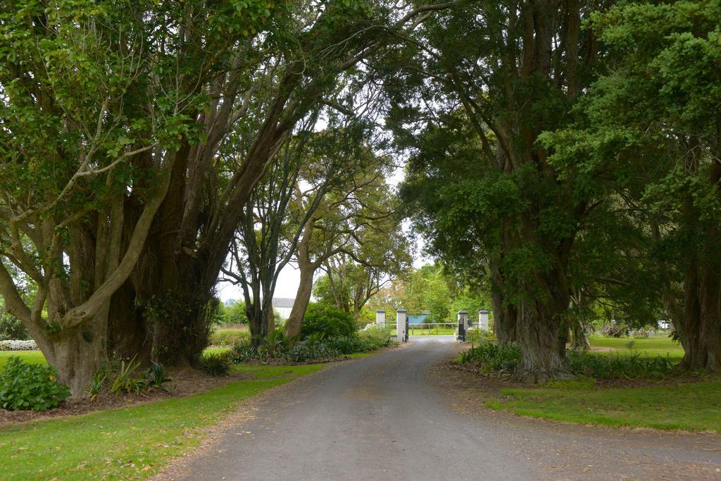 Lavalla Estate Guest House Tuakau Екстериор снимка